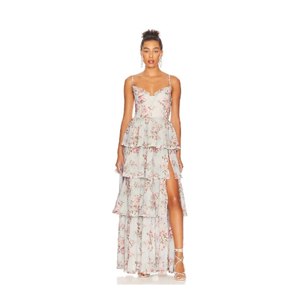 v chapman caterina dress tapestry rose print size 0 NWOT